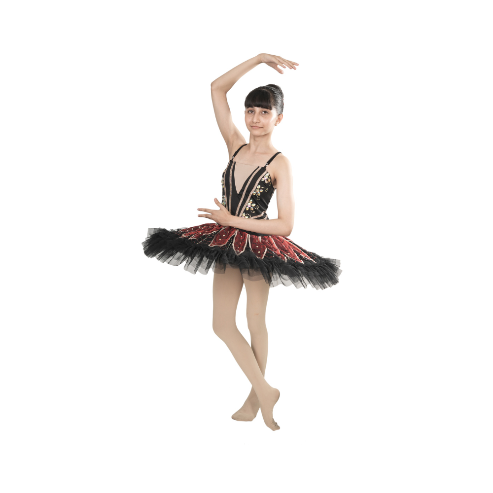Black Rose Tutu Dress Multi Layer Mesh With Golden Applique And Stone Work
