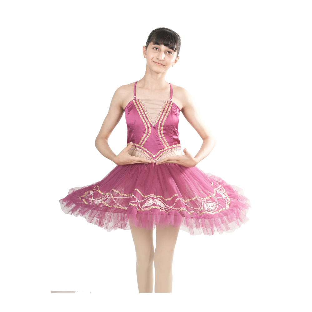 Plum Gold Grace Tutu Dress Multi Layer Mesh With Embroidery And Stone Embellishments
