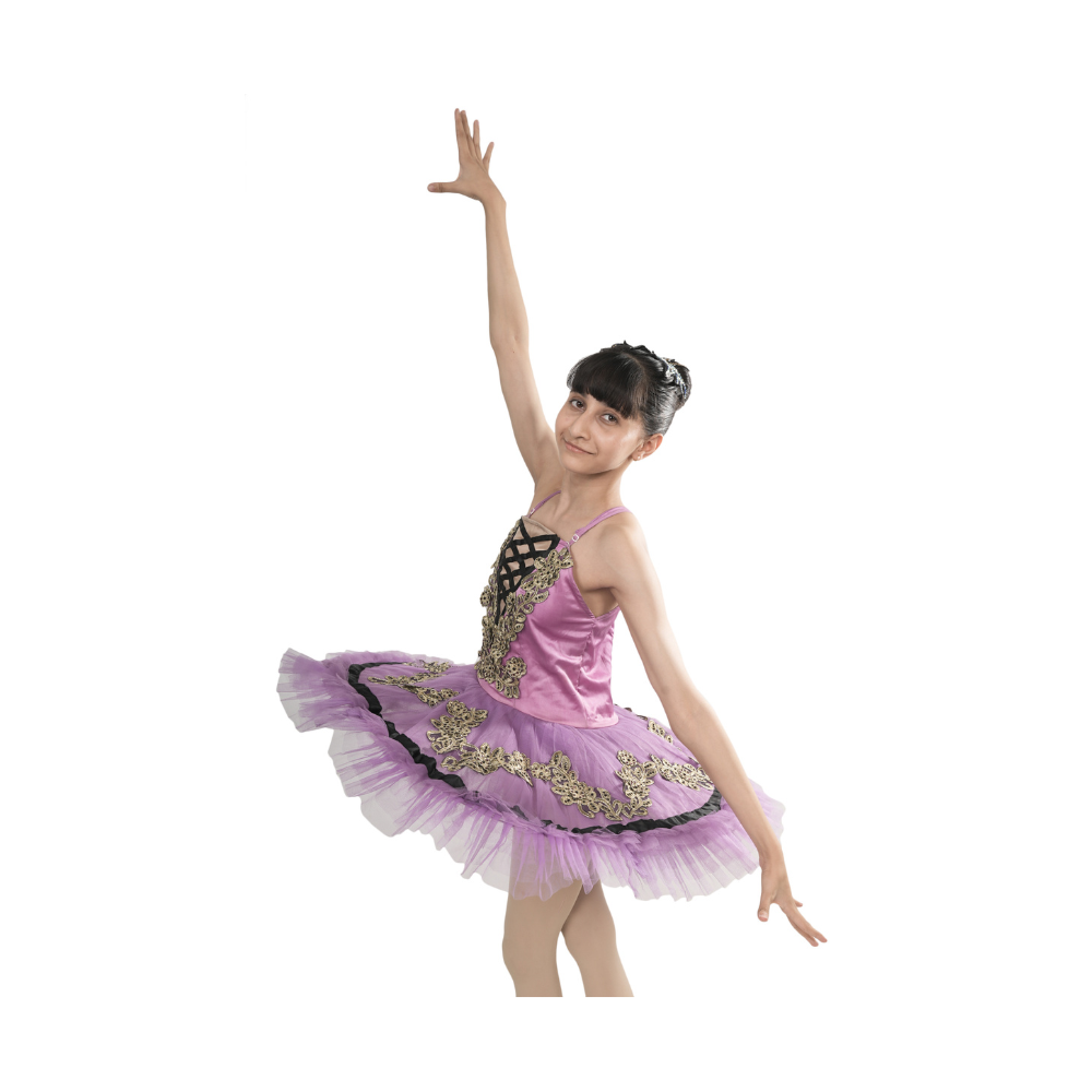 Royal Purple Tutu Dress Multi Layer Mesh With Black And Gold Embroidery And Stone Work