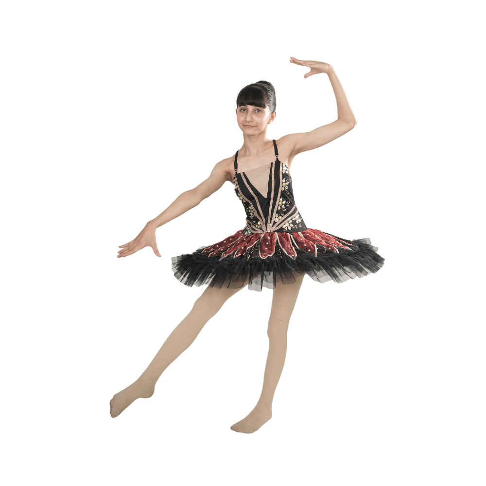 Black Rose Tutu Dress Multi Layer Mesh With Golden Applique And Stone Work