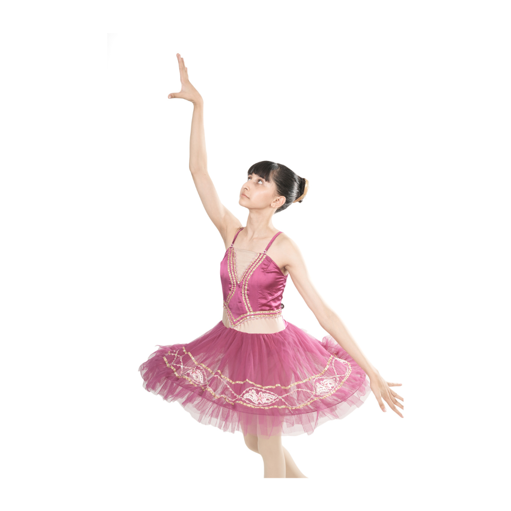 Plum Gold Grace Tutu Dress Multi Layer Mesh With Embroidery And Stone Embellishments