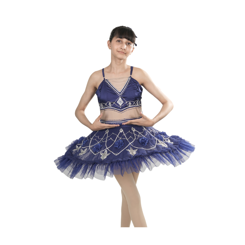 Royal Blue Ballerina Tutu Dress Multi Layer Mesh With Silver Lace And Stone Embellishments