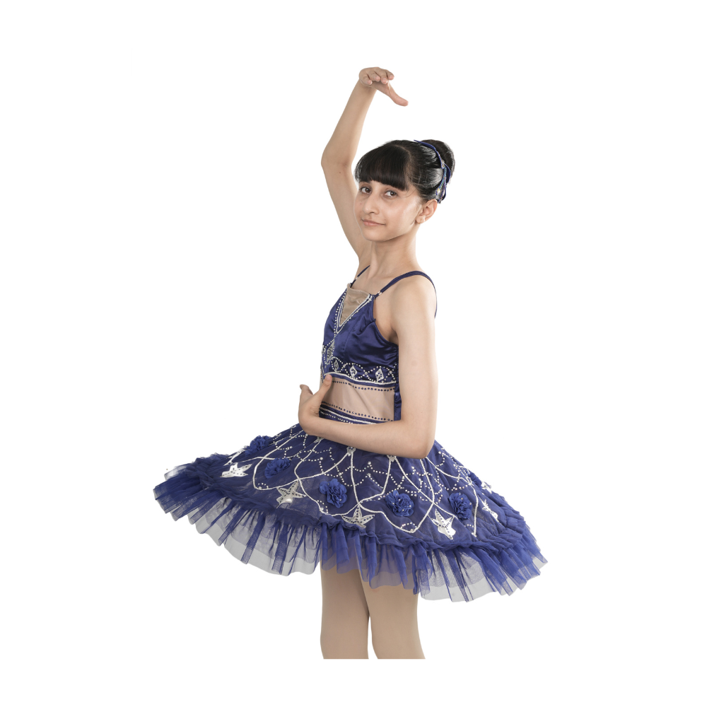 Royal Blue Ballerina Tutu Dress Multi Layer Mesh With Silver Lace And Stone Embellishments