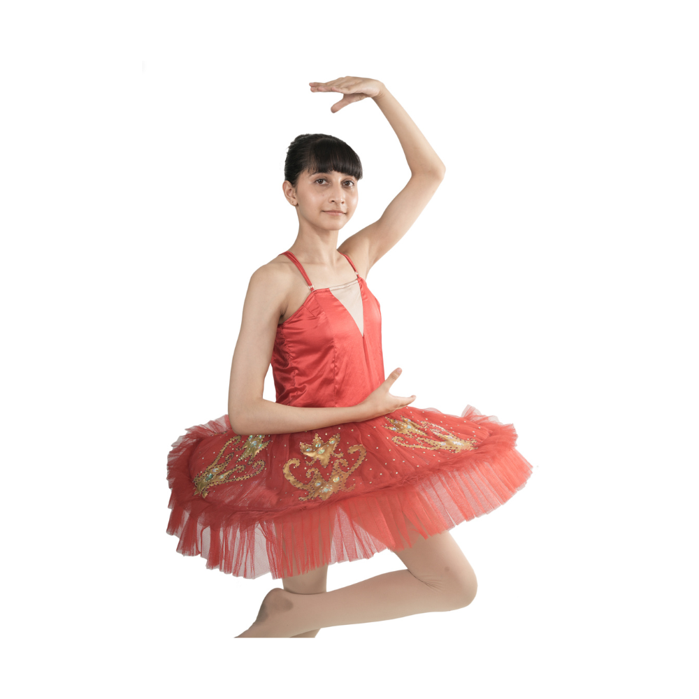 Red Majesty Tutu Dress Multi Layer Mesh With Gold Patch And Stone Embellishments