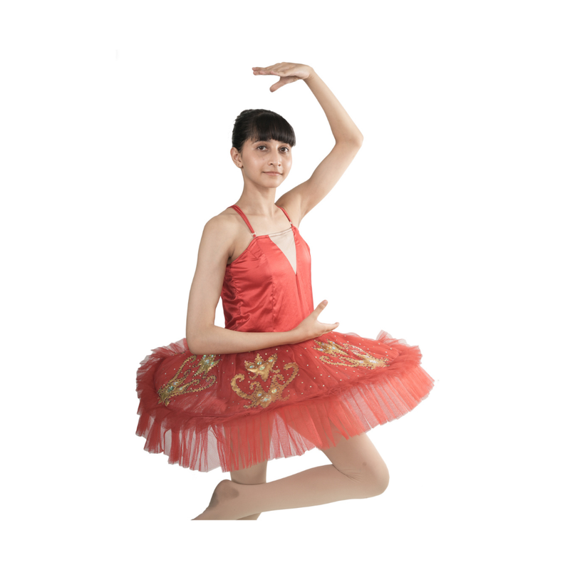 Red Majesty Tutu Dress Multi Layer Mesh With Gold Patch And Stone Embellishments