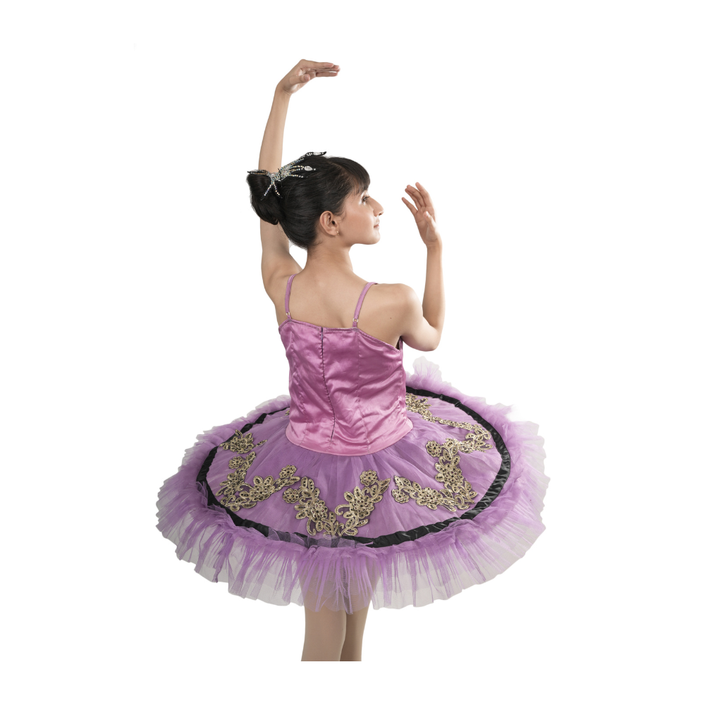 Royal Purple Tutu Dress Multi Layer Mesh With Black And Gold Embroidery And Stone Work